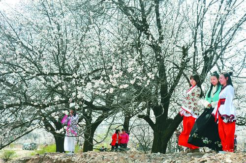 蓝鲸体育直播多终端示意